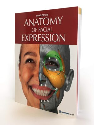 Anatomy of Facial Expression