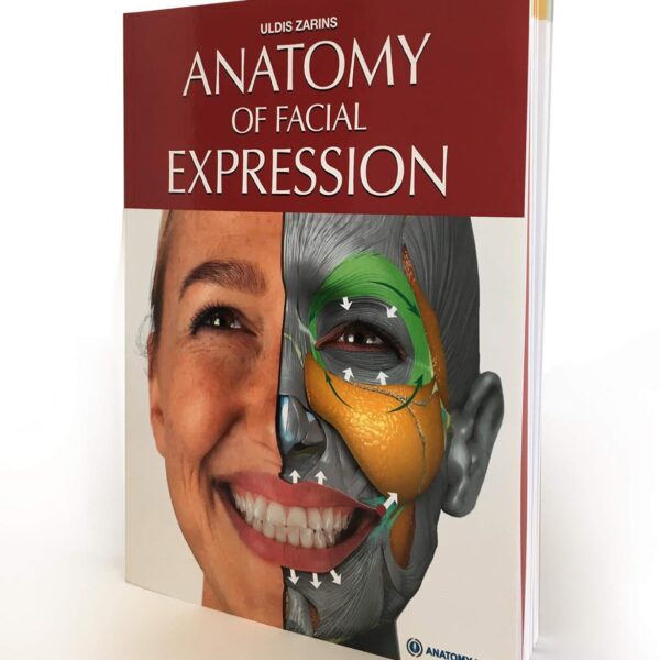 Anatomy of Facial Expression